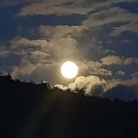 Kras Rabac Labin Ripenda Pool Дом отдыха Ripenda Kras